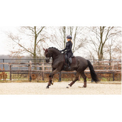 Tapis LeMieux Crystal Suede Dressage Marron Tapis LeMieux Crystal Suede Dressage Marron
