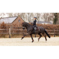 Tapis LeMieux Crystal Suede Dressage Marron Tapis LeMieux Crystal Suede Dressage Marron