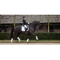 Tapis LeMieux Crystal Suede Dressage Blanc