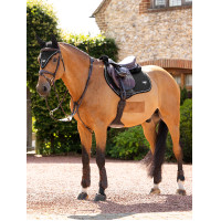 LeMieux Suede Power Close Contact Vierkant Zadeldek Bruin LeMieux Suede Power Close Contact Vierkant Zadeldek Bruin