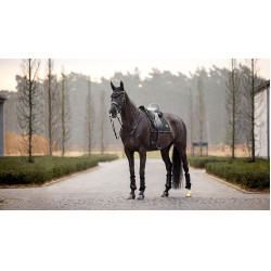 Tapis LeMieux Puissance Suede Dressage Square Noir Tapis LeMieux Puissance Suede Dressage Square Noir