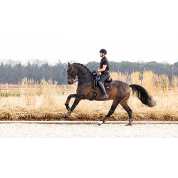 LeMieux Suede Power Dressuur Vierkant Bruin