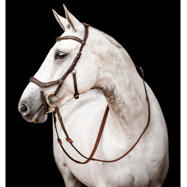 Bridon Horseware Micklem 2 Competitie Rambo