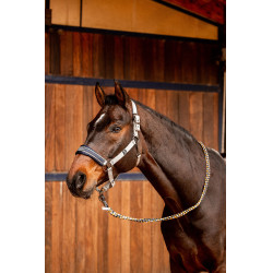 Halster Wicklow Horze Halster Wicklow Horze