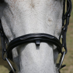 Hoofdstel met brug Raphaël T van T Zwart