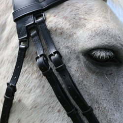 Hoofdstel met brug Raphaël T van T Zwart