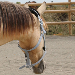 Licol mouton T de T synthétique Gris / noir