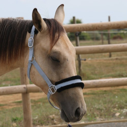 Licol mouton T de T synthétique Gris / noir