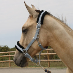 Licol mouton T de T synthétique Gris / noir