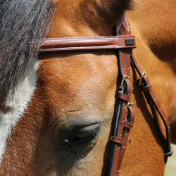 Bridon Kessel T van T kopstuk drievoudig gecombineerde neusriem Tabak Bruin