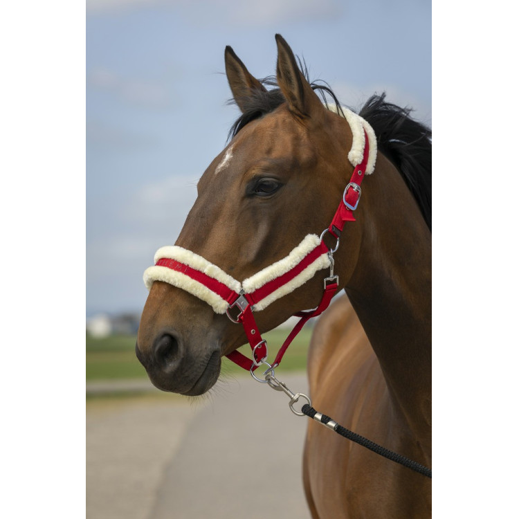 Licol Equithème Nylon Mouton Licol Equithème Nylon Mouton