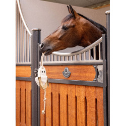 Jouet pour chevaux LeMieux Banane Jaune