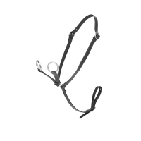 Martingale Mini Poney LeMieux Noir Martingale Mini Poney LeMieux Noir