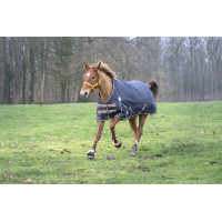 Couverture Equithème Tyrex 1200 D / Transparent Couverture Equithème Tyrex 1200 D / Transparent