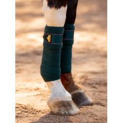 Polo bandages Loire LeMieux Spargroen Polo bandages Loire LeMieux Spargroen