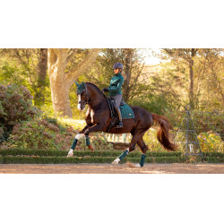 Polo bandages Loire LeMieux Spargroen Polo bandages Loire LeMieux Spargroen