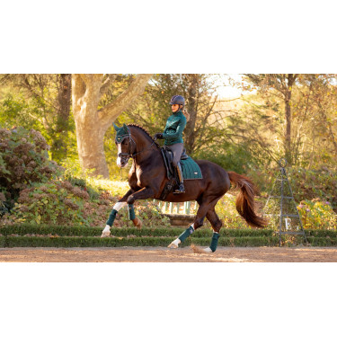 Polo bandages Loire LeMieux Spargroen Polo bandages Loire LeMieux Spargroen