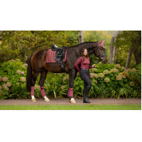 Bandes de polo Loire LeMieux Noir