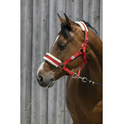 Licol Riding World mouton synthétique Licol Riding World mouton synthétique
