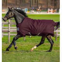 Couverture Horseware Amigo Hero Ripstop Turnout doublée polaire 50g 600D Figue / figue Bordeaux Couverture Horseware Amigo Hero Ripstop Turnout doublée polaire 50g 600D Figue / figue Bordeaux