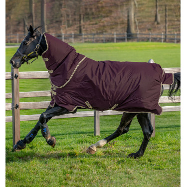Couverture Horseware Amigo Hero Ripstop Plus avec couvre Cou 0g Figue / marine Couverture Horseware Amigo Hero Ripstop Plus avec couvre Cou 0g Figue / marine