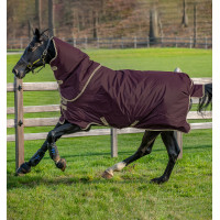 Couverture Horseware Amigo Hero Ripstop Plus 100g 600D Figue / marine Violet Couverture Horseware Amigo Hero Ripstop Plus 100g 600D Figue / marine Violet