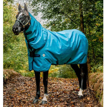 Couverture Horseware Amigo Hero 900 Revive Plus 200g Couverture Horseware Amigo Hero 900 Revive Plus 200g