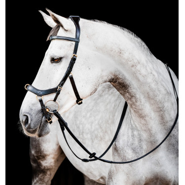 Bridon Horseware Micklem 2 Multi Noir Bridon Horseware Micklem 2 Multi Noir