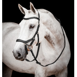 Bridon Horseware Micklem 2 Competition met rubberen teugels