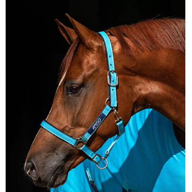 Halster Horseware Amigo