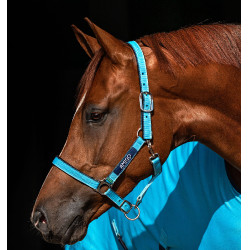 Licol Horseware Amigo Licol Horseware Amigo