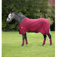 Couverture de box Horseware Rambo Helix Disque 0g Bordeaux / bordeaux Couverture de box Horseware Rambo Helix Disque 0g Bordeaux / bordeaux