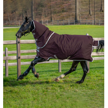 Horseware Amigo Hero Ripstop Plus deken met halsstuk 200g Vijg / zilver Bordeaux