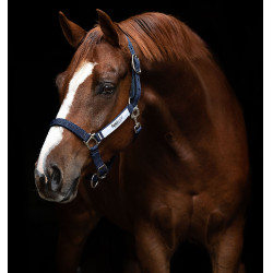 Veiligheidshalster Horseware Field Safe Veiligheidshalster Horseware Field Safe