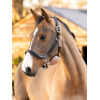 Licol de pansage LeMieux en cuir Marron Licol de pansage LeMieux en cuir Marron