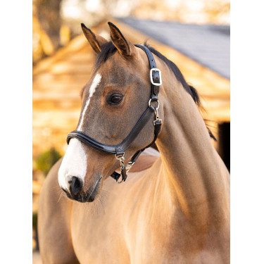 Poets halster LeMieux van leer Zwart