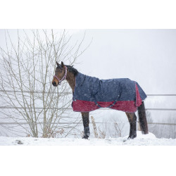 Equithème Tyrex 1200 D High Neck deken Marine / bordeaux Blauw