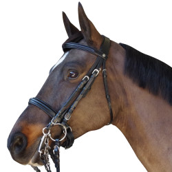 Bride Pull Back Euro Canter