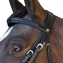 Bride Pull Back Euro Chetak