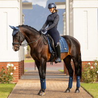 Bandes de polo Loire LeMieux Noir Bandes de polo Loire LeMieux Noir