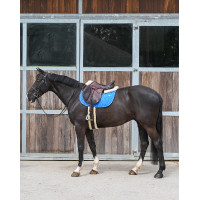 Tapijt GEM Love Blauw Frankrijk