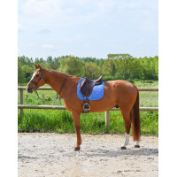 Tapis GEM Love dressage Bleu France