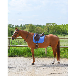 Tapis GEM Love dressage Bleu France
