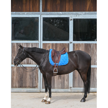 Tapis GEM Love dressage Bleu France