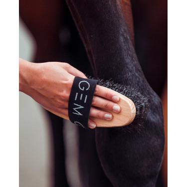 Harde borstel GEM Zwart