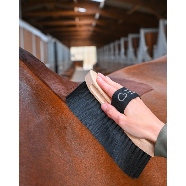 Brosse GEM poils longs Noir