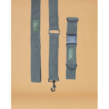 Pack Collier & Laisse GEM Kaki