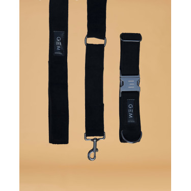 Pack Collier & Laisse GEM Noir