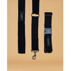 Pack Collier & Laisse GEM Noir