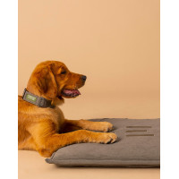 Tapis pour chien GEM 60 x 80 cm Kaki Tapis pour chien GEM 60 x 80 cm Kaki